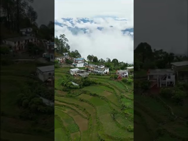 Apna pahad 🥰 #uttarakhand #devbhoomi #almora