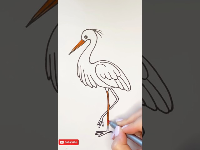 How to Draw a Cute Bird: Fun and Simple!