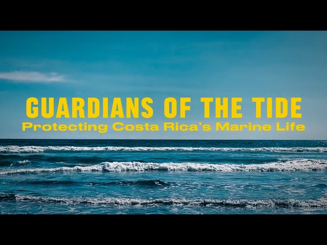 Guardians of the Tide — Protecting Costa Rica’s Marine Life documentary