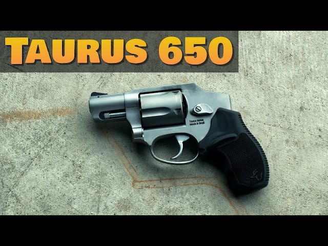 Taurus 650 Review