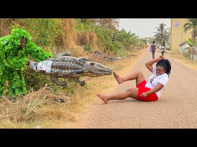 Ultimate Best of Best Bushman Prank in Africa! Compilation 2025!!