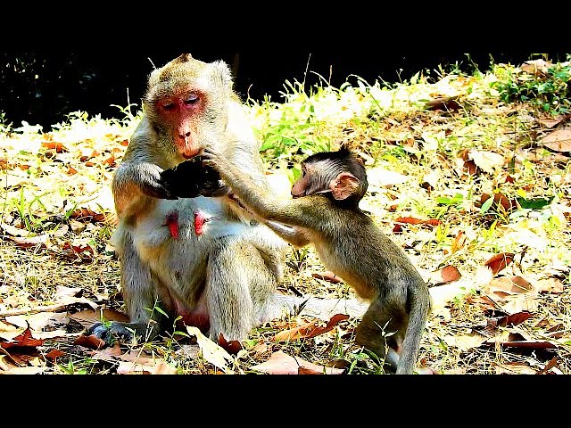 Feeding Hearthy Fruit To Jane Family, Jody Much Hungry Beg Mom For Testing Instead Of Milk.