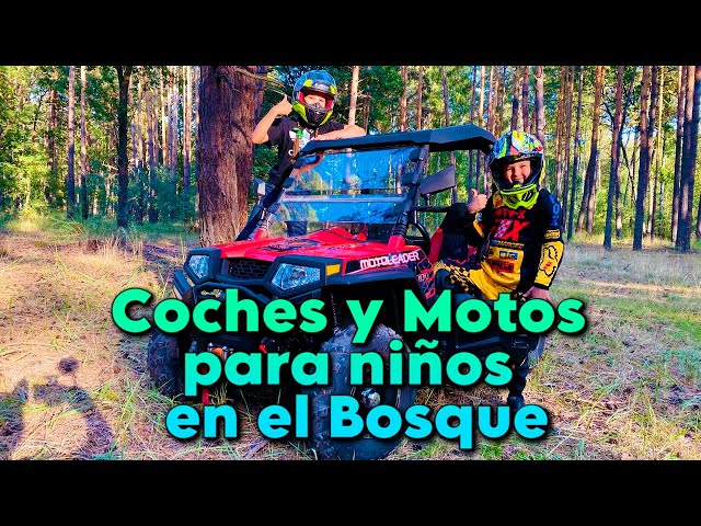 Den y sus amigos Juegan en el Bosque! | Coches y Motos para niños en el Bosque