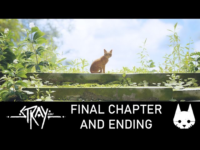 Stray - Final Chapter and Ending