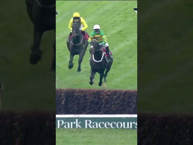 Interesting leap 😂 #horse #horseracing #racingtv #sport #britishhorseracing