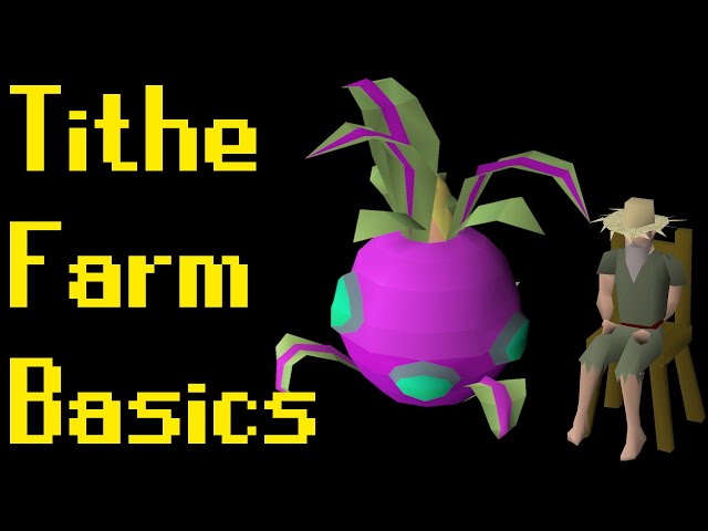 Basic Tithe Farm Guide 2021 (OSRS)