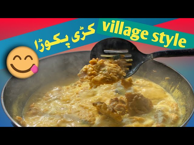 Kadhi Pakora | Kari Pakora Recipi | Village Food | Street Food