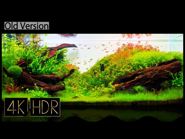 [Old Ver.] Relaxation 🌱🐠 Aquascape Video • Fixed 3hours 4K HDR 60fps • Water sound ♯005