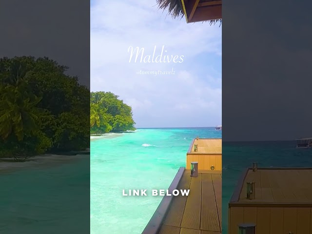 #maldives #maldivestravelguide #maldivesresorts #maldivesislands #maldivestrip #maldivestravel