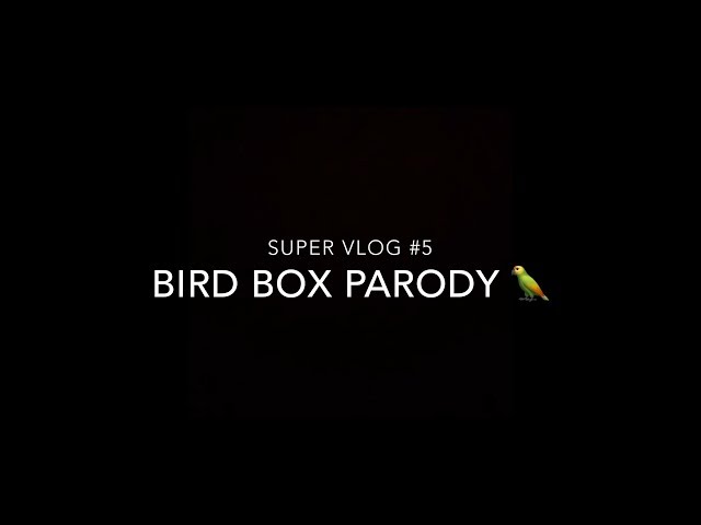 Bird Box Parody - Vlog # 5