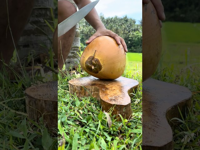 Wow’😱‼️Amazing King Coconut Cutting Skills #fruit #coconut #satisfying #cuttingskils #asmr #amazing