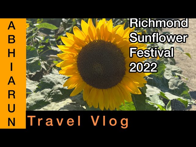 Richmond Sunflower Festival | British Columbia Canada 🇨🇦 | Abhi Arun | 4K UHD