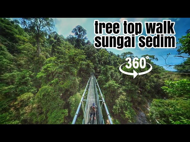 360 degree view Tree Top Walk Sungai Sedim | move device to explore video | jalan makan 360