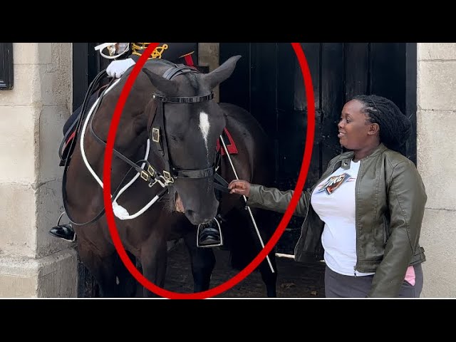 King’s Guard Unexpectedly Shows Unimaginable Kindness - You Won’t Believe That!