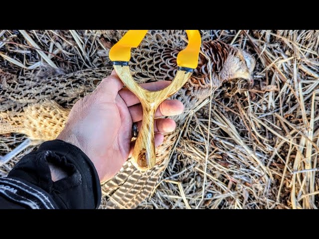 Build Along: Incredible Hunting Slingshot