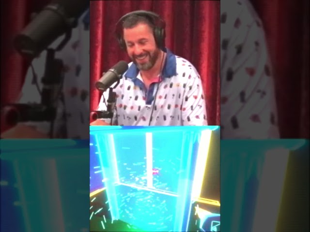 I Laughed So Hard I Cried! Sandler & Rogen 8