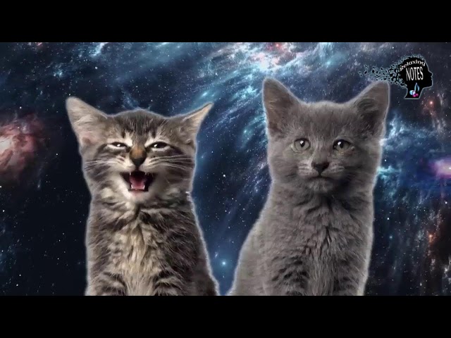 Music for Cats - Amazing and Beautiful video Singing Cats Space Cats #space #dance #cat #dog #asmr