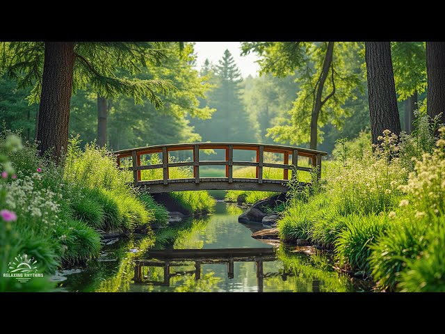 Healing Music For Deep Relaxation And Stress Relief 🌿 Soothing Relaxation For A Peaceful Mind #29