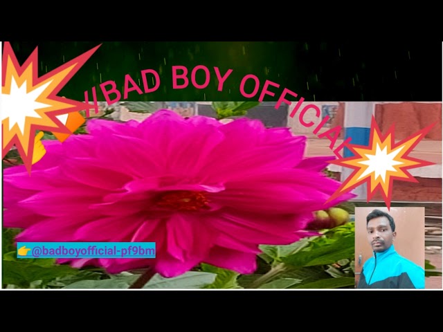 My Daily Live video #Bad Boy Official 😜