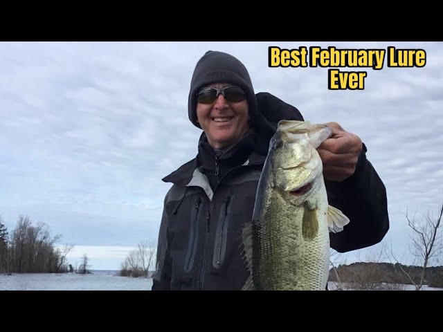 THIS Is THE Best February Bass Fishing Lure You Can Throw…