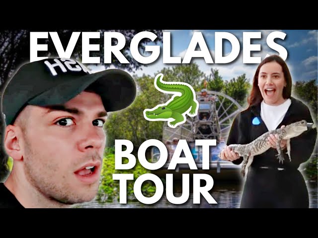 Brits See ALLIGATORS for the First Time in the Everglades! | MIAMI Series!