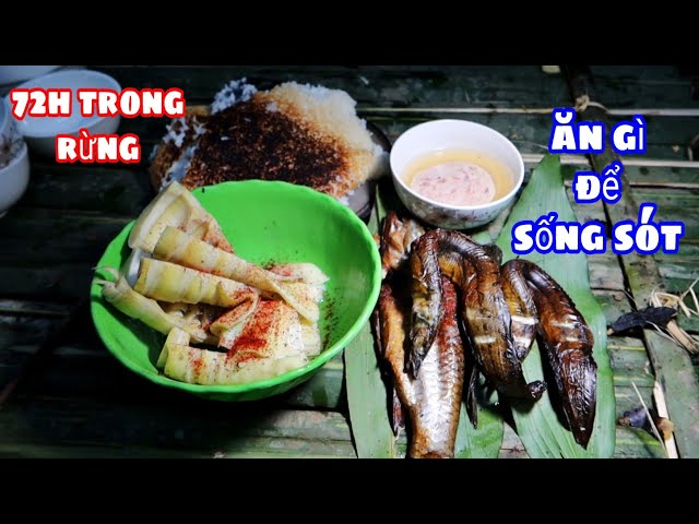 Thử Thách 72h Trong Rừng | Tìm Thức Ăn | Find food to survive in the forest