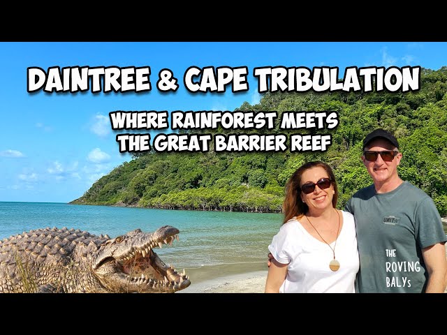 Daintree Rainforest Road Trip from Cairns Australia: Crocodiles, Mossman Gorge & Cape Tribulation