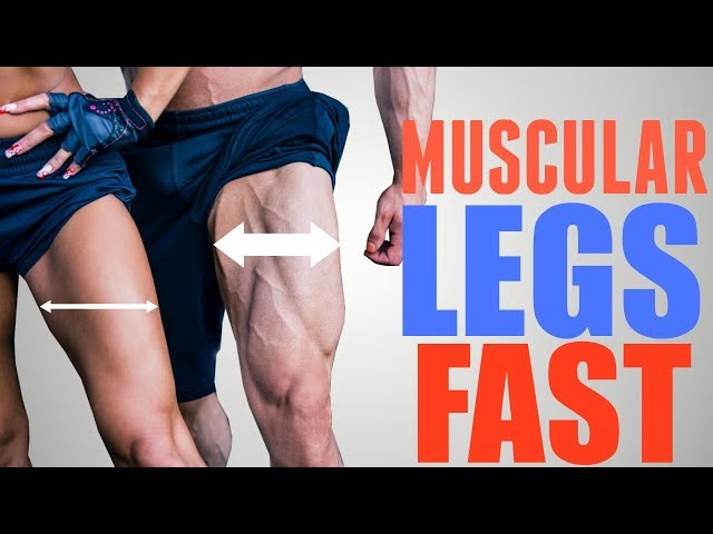 3 Exercises to Get STRONG Muscular Quads FAST