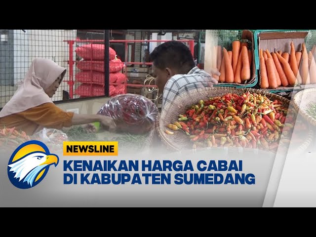 Cabai Mahal, Warga Beralih ke Cabai Kurang Layak - [Newsline]