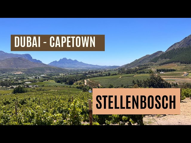 NCL Jade - Arriving after 19 days in Cape Town plus Stellenbosch and Franschook Wine Région