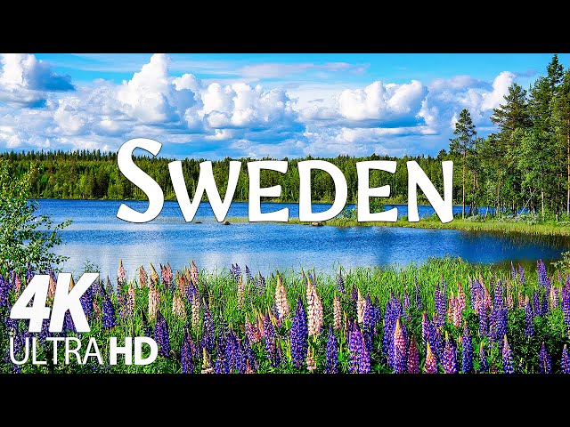 SWEDEN 4K - Uncover the Hidden Gems of Sweden's Natural Landscapes - 4K VIDEO ULTRA HD