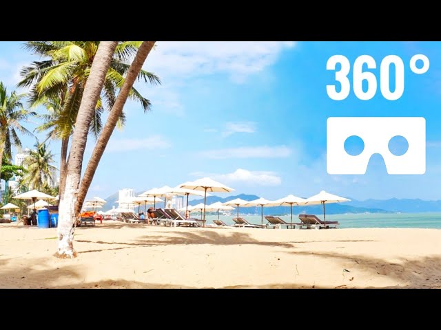 VR Videos 360 Palm Trees Beach Vietnam Relaxing SBS 3D 360°