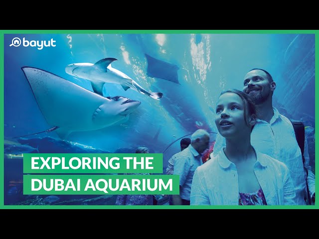 Is visiting the Dubai Aquarium in Dubai Mall worth it?