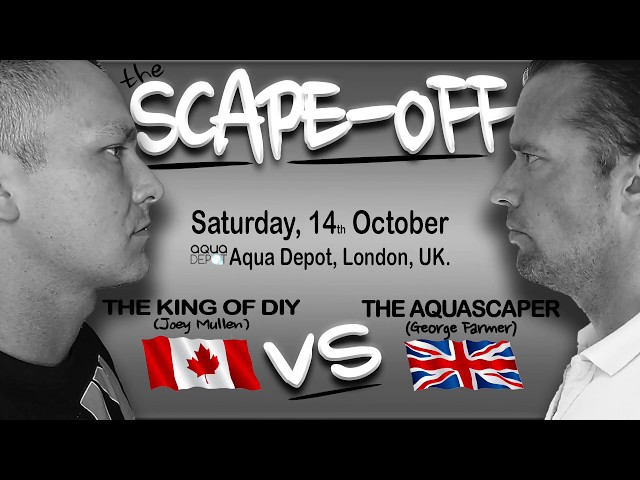 The aquarium scape-off - King of DIY