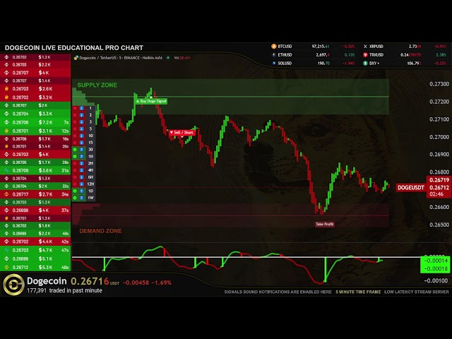 🔴 DOGE DOGECOIN Live Trading Signals DOGEUSDT Best Trading Crypto Strategy