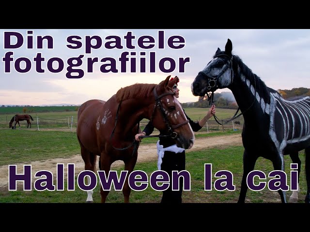 Din spatele fotografiilor de Halloween la Club Sportiv Ecvestru Decebal Bacau