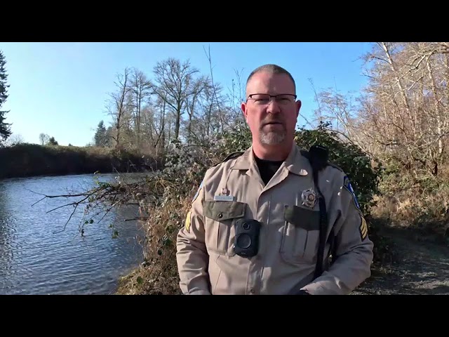 WDFW explains steelhead regulations