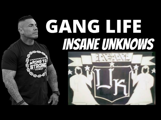 PRISON GANGS | INSANE UNKNOWNS | CHICAGO GANGS