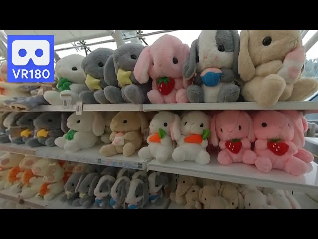 3D 180VR A lot of Rabbit Dolls are in Bunny Toy House