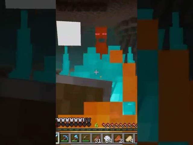 I Hate the Nether