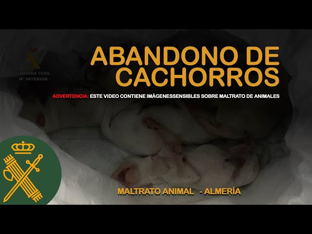 Investigado por abandonar seis cachorros en el interior de un saco de pienso