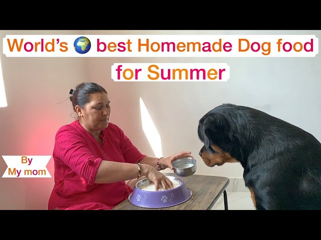 Home-made Food for Dogs with 100% Result | All Day Meals