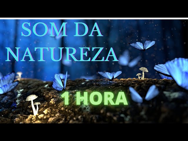 🌲1 HORA se conectando com a natureza, sons da natureza para relaxar🌷