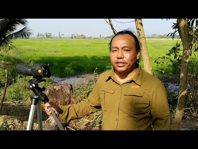 CitSciAsia Meets... the Myanmar Crane Team