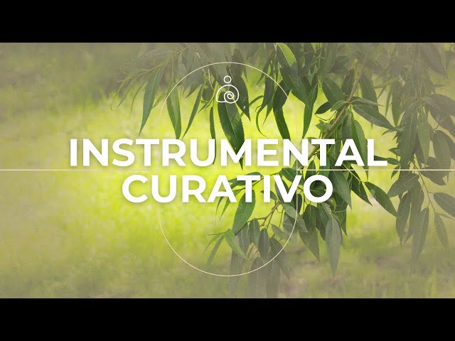 🌿Instrumental Curativo / Libera El Enojo Y la Ansiedad /🌿