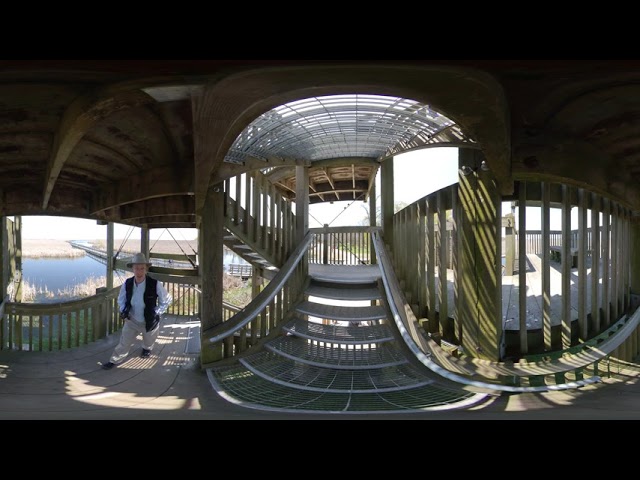 Point Pelee National Park Marsh Boardwalk Lookout (360 version )