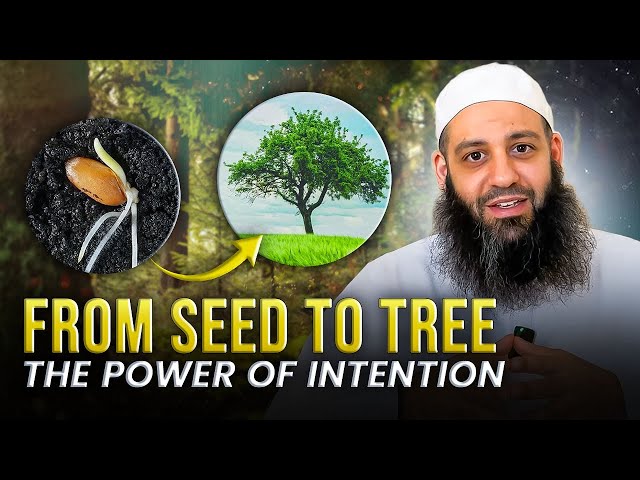 From Seed To Tree, The Power Of Intentions | Abu Bakr Zoud