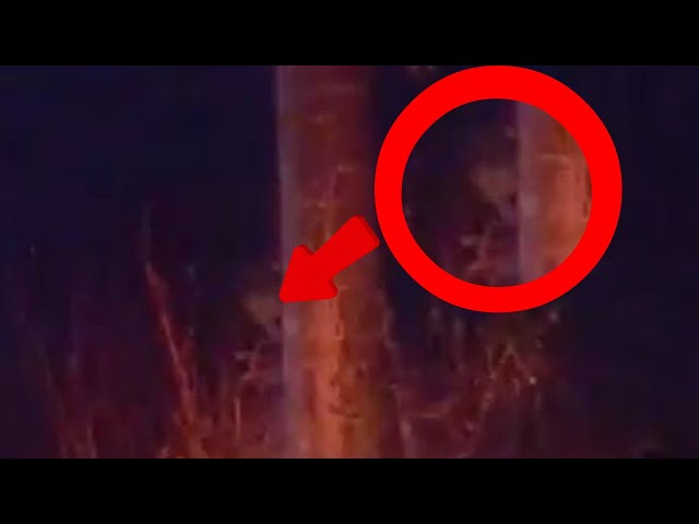 Top 5 Scary Videos That Will Make You Shiver #scary #ghost #paranormalactivity