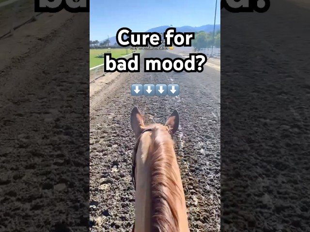 THE ULTIMATE BAD MOOD CURE! #short