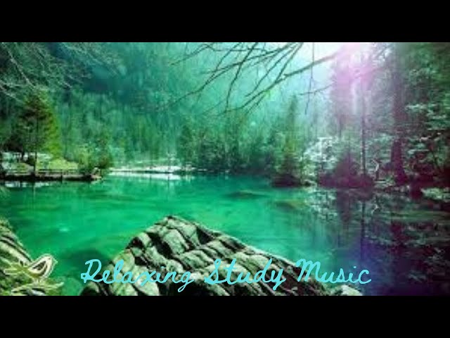 Relaxing Sleep Music  Deep Sleeping Music  Relaxing Music  Stress Relief  Meditation Music  Flying